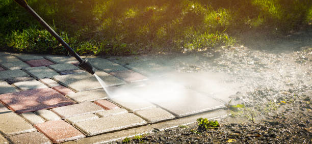 Animal Enclosure Cleaning in Evadale, TX